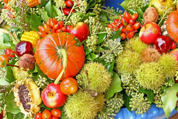 Fruits of autumn — Stock Photo, Image