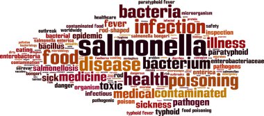 Salmonella kelime bulutu