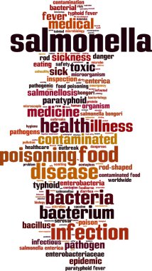 Salmonella kelime bulutu