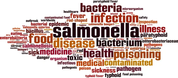 Salmonella word cloud — Stockvector