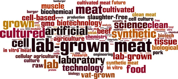 Concepto Nube Carne Cultivada Laboratorio Collage Hecho Palabras Sobre Carne — Vector de stock
