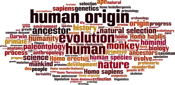 Nube palabra origen humano — Archivo Imágenes Vectoriales