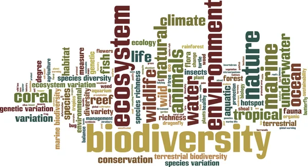 Biodiversità parola nube — Vettoriale Stock