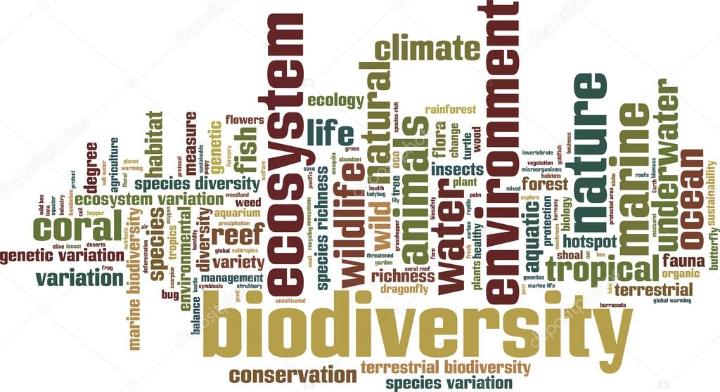 Biodiversity word cloud
