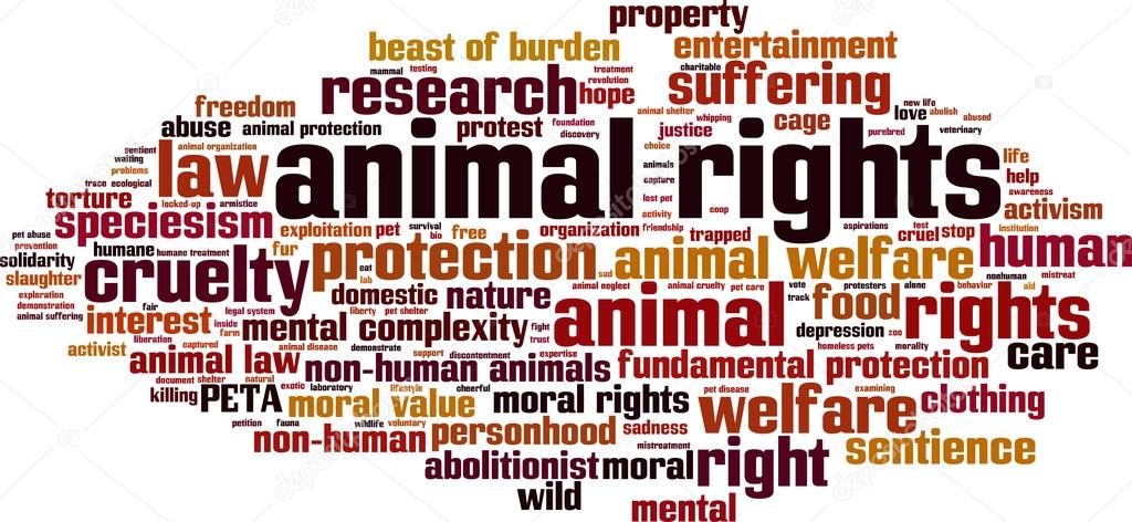 Animal rights word cloud