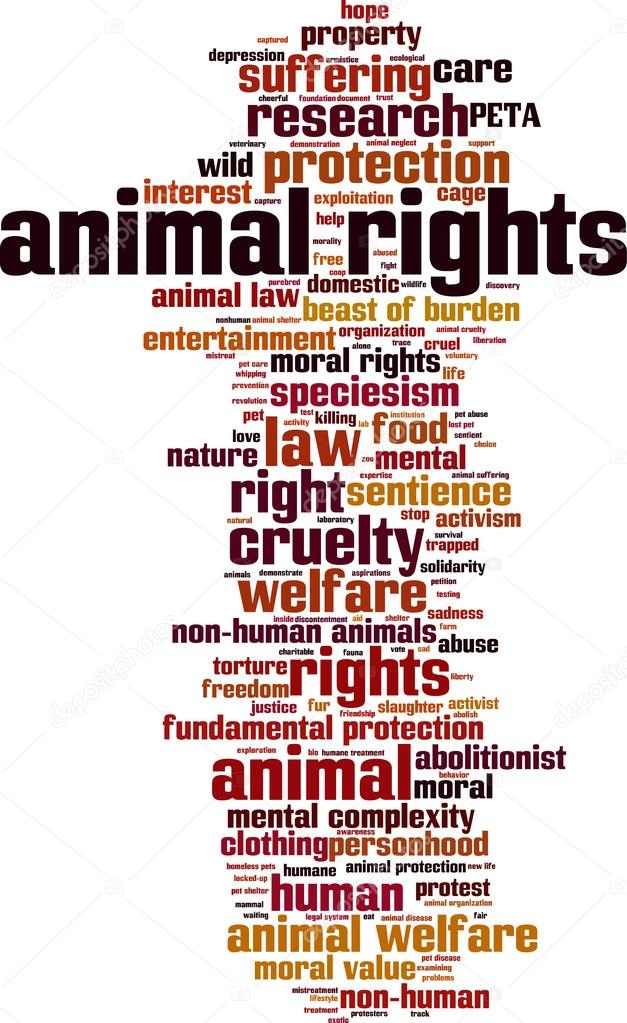 Animal rights word cloud