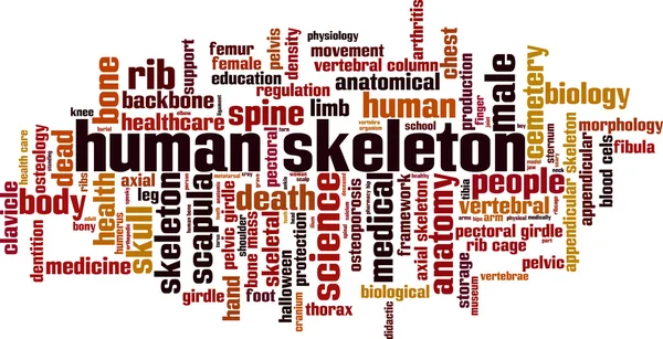 Nuvem de palavra esqueleto humano —  Vetores de Stock