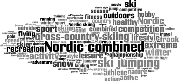 Nuage de mots combiné nordique — Image vectorielle
