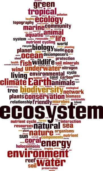 Nube de palabras de ecosistema — Archivo Imágenes Vectoriales