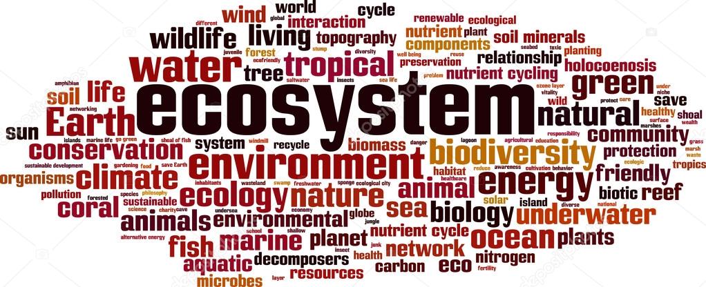 Ecosystem word cloud