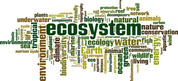 Nuvem de palavras do ecossistema — Vetor de Stock