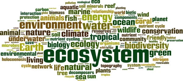 Nuvem de palavras do ecossistema — Vetor de Stock