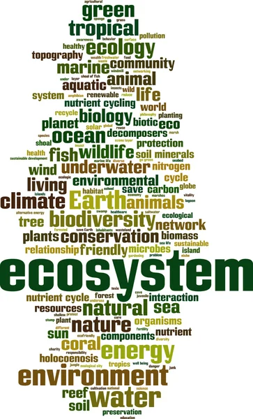 Ecosystem word cloud — Stock Vector