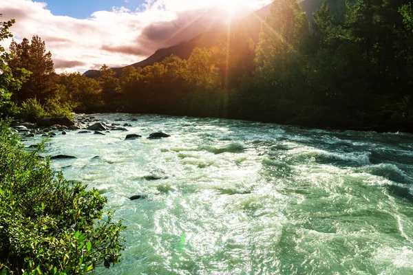 Schöner Gebirgsfluss — Stockfoto