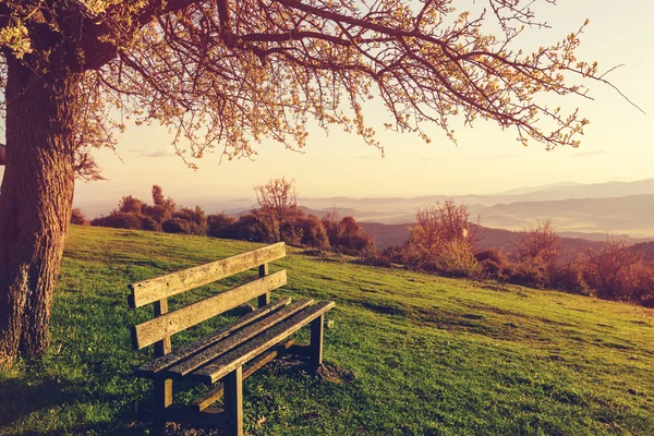 Jardín de primavera de serenidad — Foto de Stock