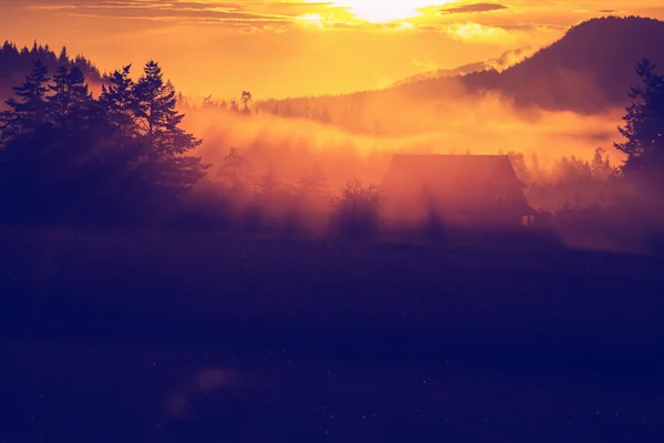 Dimma på ängen vid solnedgången — Stockfoto