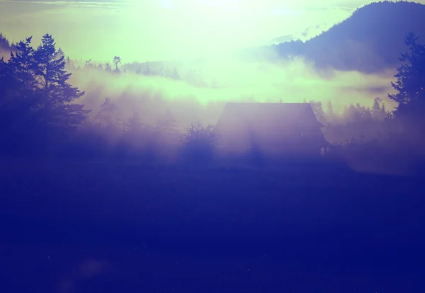 Dimma på ängen vid soluppgången — Stockfoto