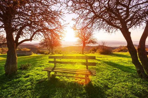 Serenity vårträdgård — Stockfoto