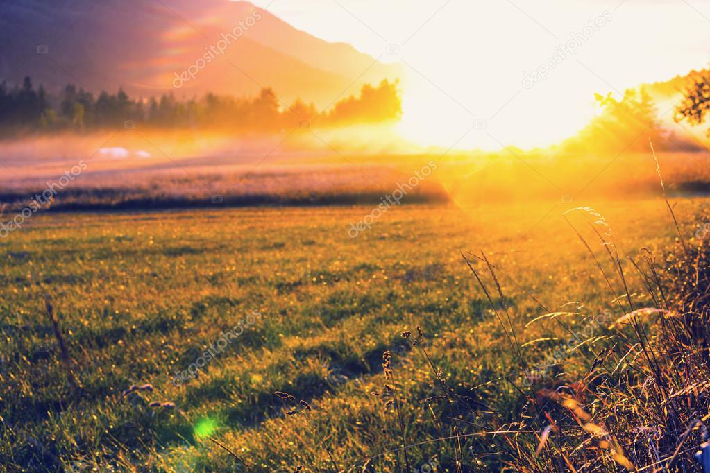 Grassland in mountains at sunset