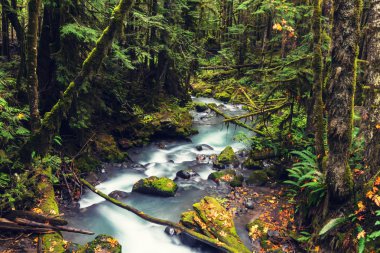 güzel küçük nehir