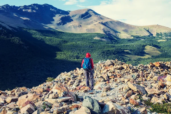 Vista trasera del excursionista masculino —  Fotos de Stock