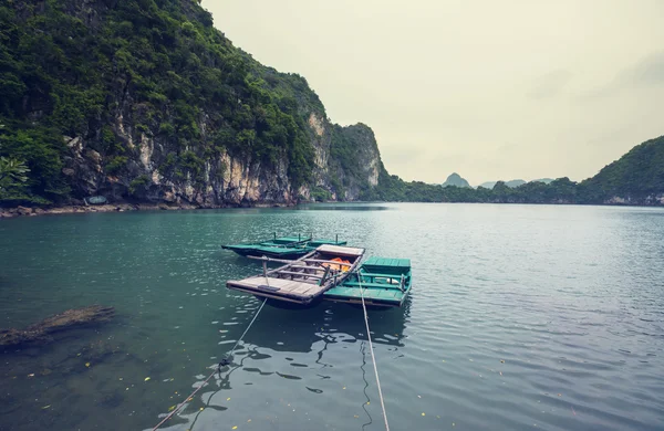 Amazing Halong Bay — Stock Photo, Image