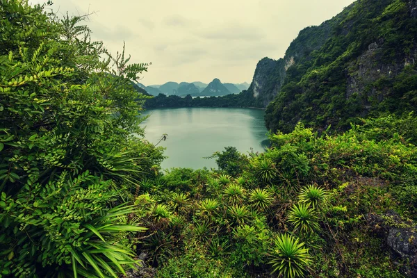 Incredibile baia di Halong — Foto Stock