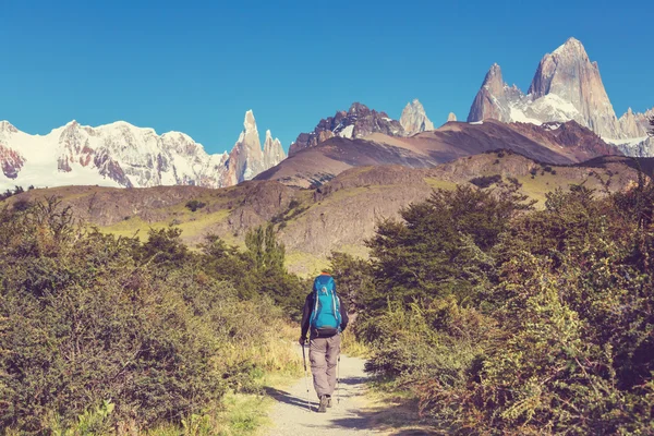 Vista posterior de la caminata masculina — Foto de Stock