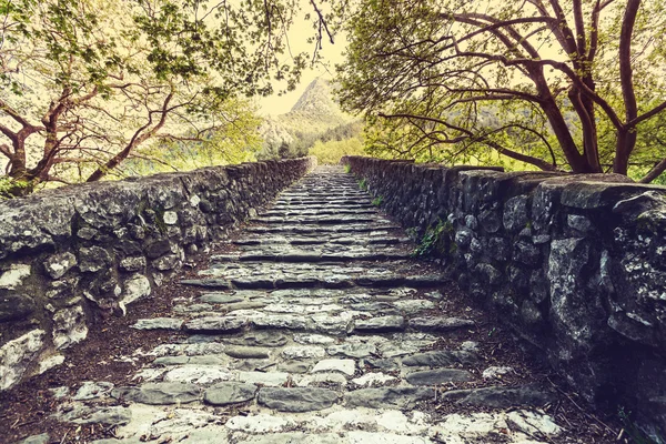 Traditional stone bridge — Stock Photo, Image