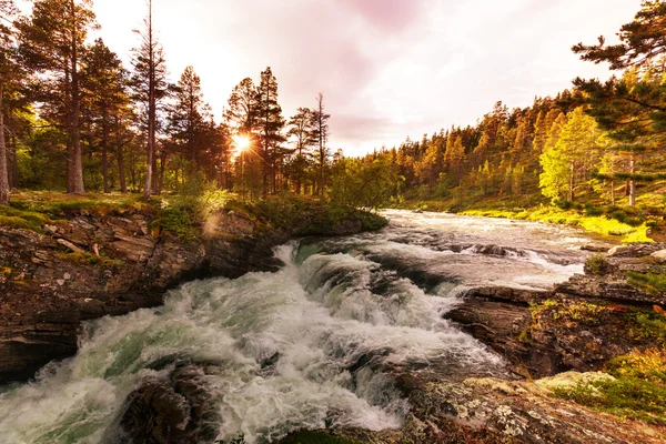 산 강 보기 — 스톡 사진