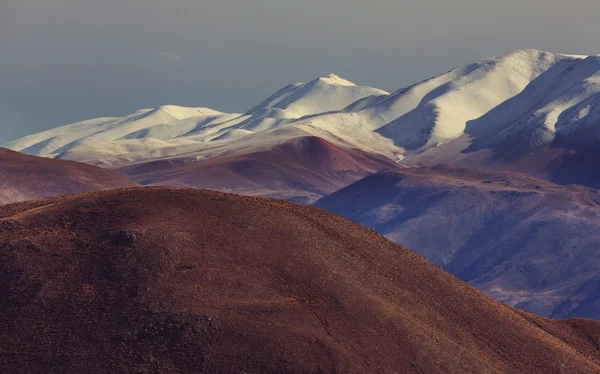 Landskapet i norra Argentina — Stockfoto
