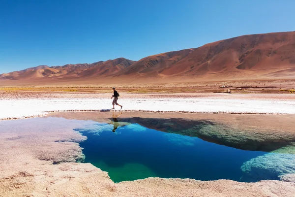 Ojo del mar in einer Salzwüste — Stockfoto
