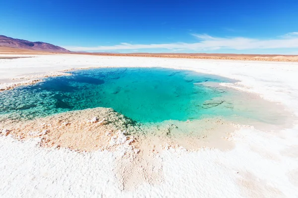 Ojo del Mar in a salt desert — Stock Photo, Image