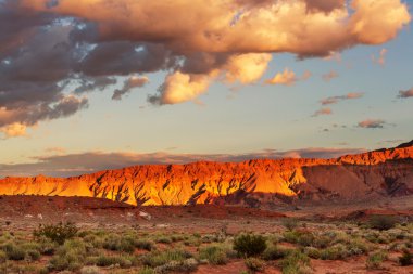 güzel kır manzarası