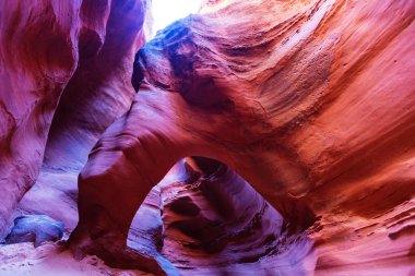Yuvası kanyona Escalante Ulusal Parkı'nda