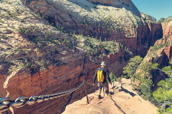 Hombre Senderismo en el parque nacional de Zion — Foto de Stock