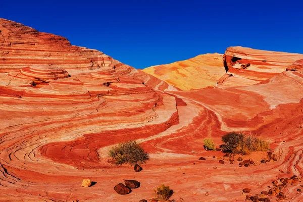 Landscape of Valley of Fire — Stock Photo, Image