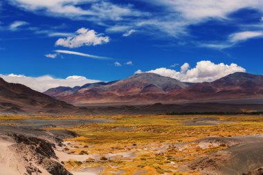 Manzara Kuzey Arjantin