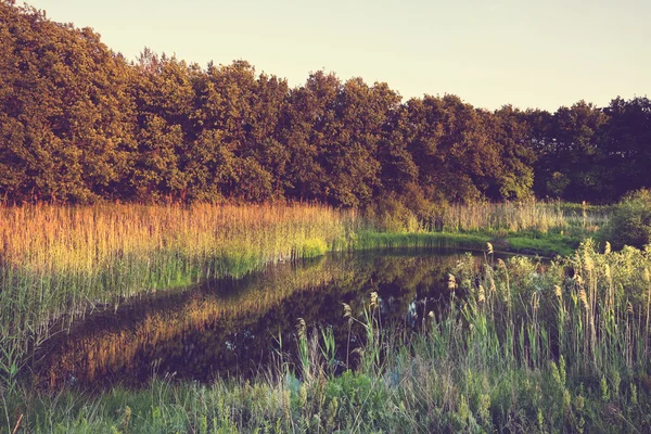 Autumn tranquil Lake — Stock Photo, Image