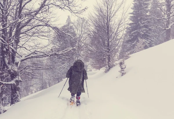 Dans les montagnes de Madère — Photo