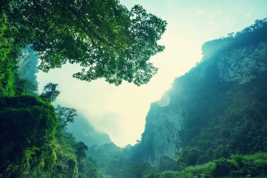 Yeşil dağların Vietnam
