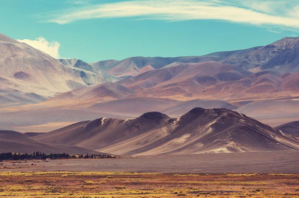 Norte de Argentina paisajes — Foto de Stock