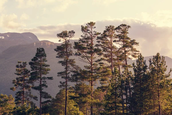 Noruega paisagem de Montanhas — Fotografia de Stock
