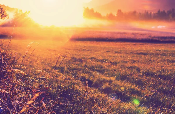 Prateria in montagna al tramonto — Foto Stock