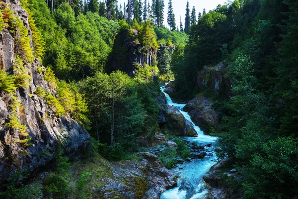 Landskap i bergsfloden — Stockfoto