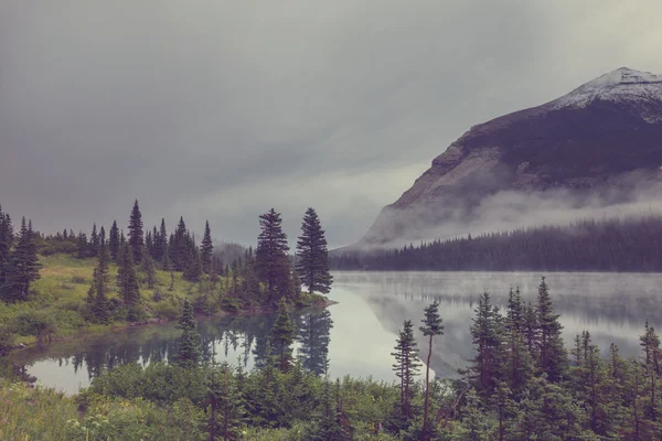 Gletscher-Nationalpark — Stockfoto