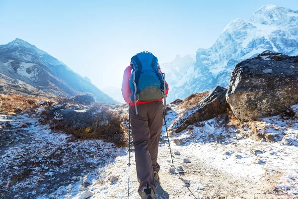 Vandrare i Himalaya bergen — Stockfoto