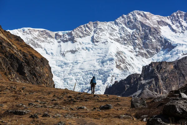 Escursionista in Himalaya montagne — Foto Stock