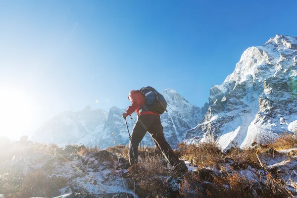 Senderista en las montañas del Himalaya — Foto de Stock