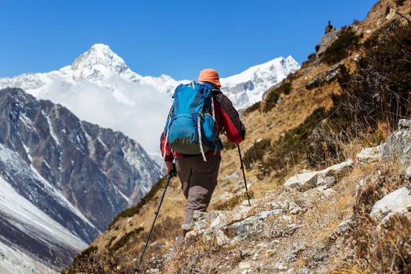 Senderista en las montañas del Himalaya — Foto de Stock